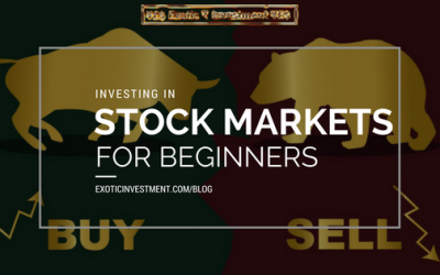 Stock Market Basics for Beginners – Crucial Advice For Anyone Starting to Invest in Stock Market