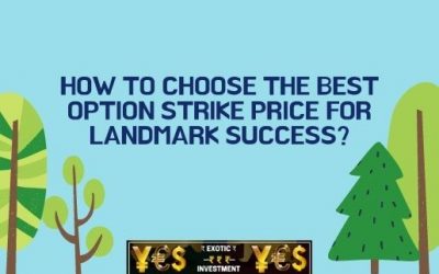 How To Choose The Best Option Strike Price For Landmark Success?