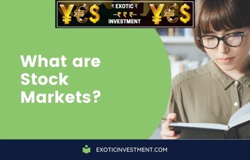 What are Stock Markets?