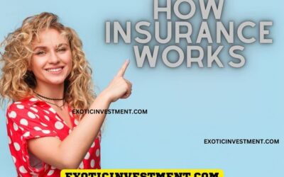 How Insurance Works in India to Save You From Financial Hassles?