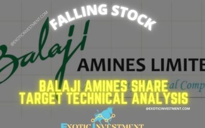 Balaji Amines Stock Analysis with Targets for 2024 and 2025