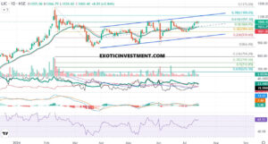 lic share price target 2024