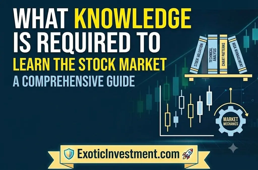 What Knowledge is Required to Learn the Stock Market: The Ultimate Curriculum