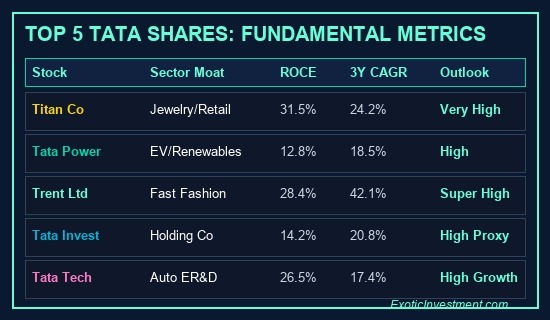 best tata shares to buy for long term fundamental metrics