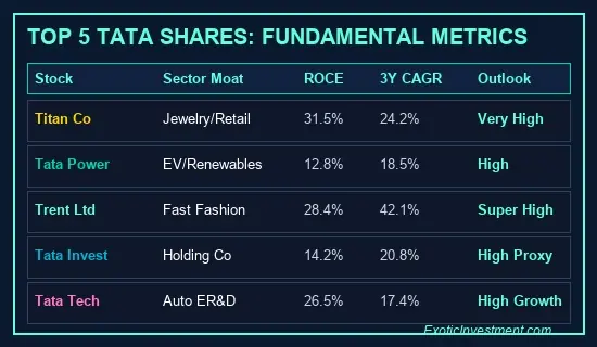 best tata shares to buy for long term fundamental metrics