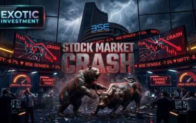 Stock Market Crash Meaning: Causes and Survival Guide
